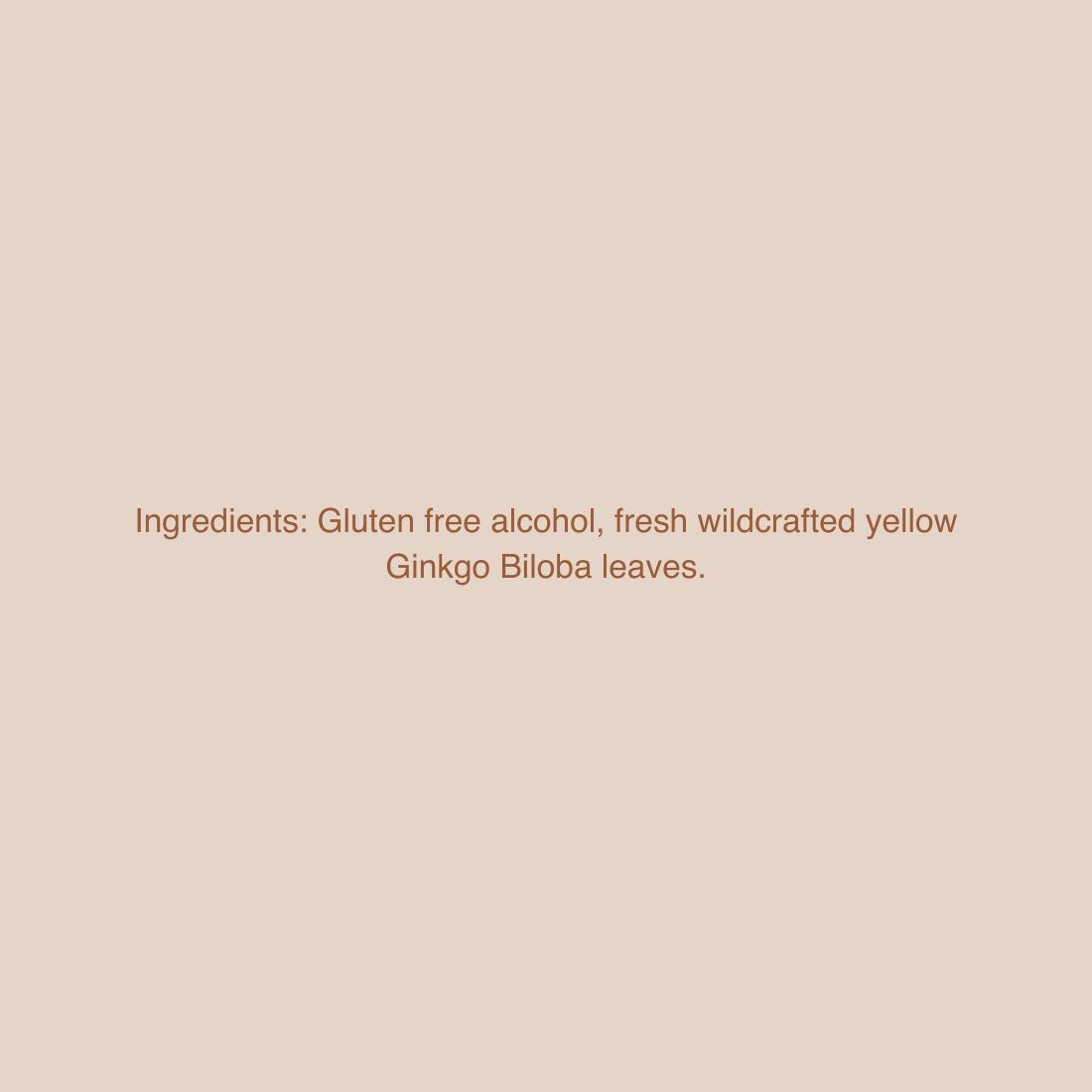 Ginkgo Tincture: Brain & Lung Support