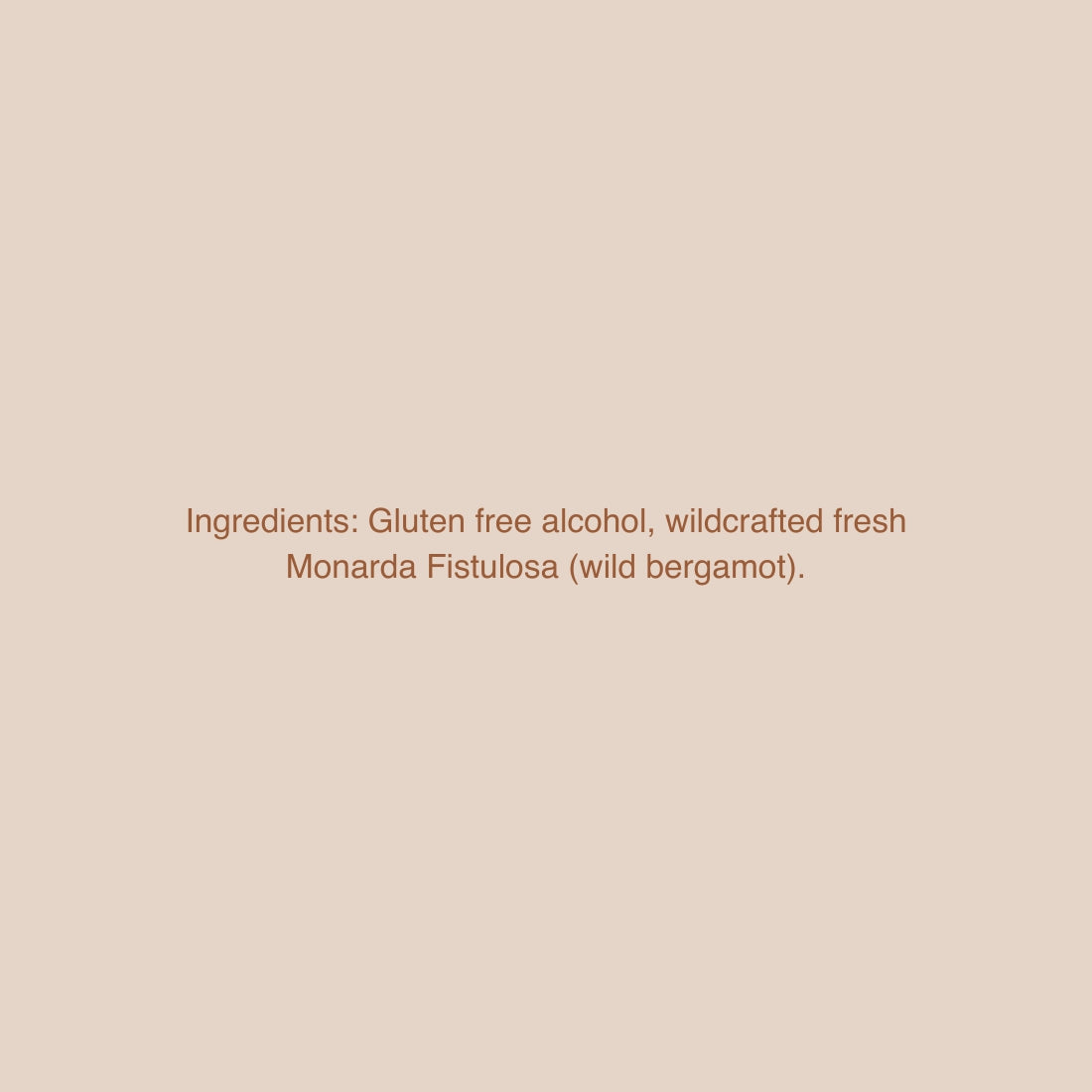 Wild Bergamot Tincture: Respiratory & Stomach Support