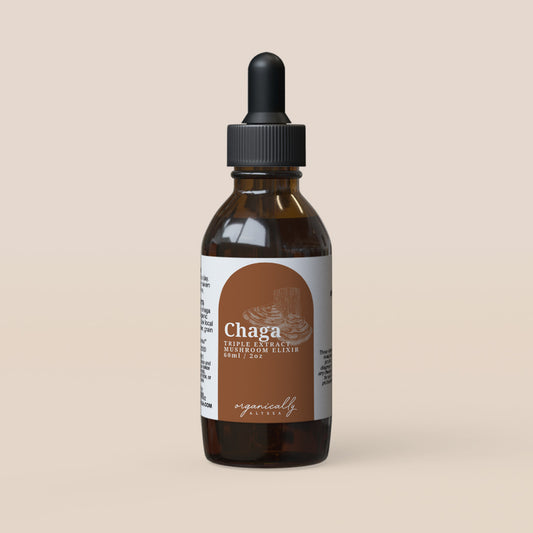 Chaga Mushroom Elixir