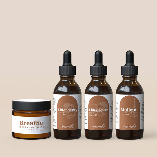 Wellness Bundle